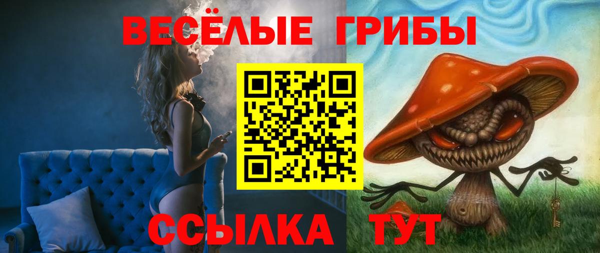 Псилоцибиновые грибы MAGIC MUSHROOMS Курчатов
